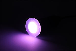 Lumières de <span class=keywords><strong>piscine</strong></span> RGB RGBW 1,5 pouce IP68 12ACV 12W 18W Lumière LED sous-marine Lentille ronde pour <span class=keywords><strong>piscine</strong></span> neuve et marché de remplacement - Product Image 2