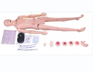 Advanced multi-functional male nursing training simulator for medical school use