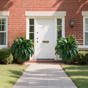 <span class=keywords><strong>Plantes</strong></span> artificielles de fougère de Boston résistantes aux UV <span class=keywords><strong>pour</strong></span> la décoration intérieure et extérieure du jardin, fausse plante <span class=keywords><strong>pour</strong></span> le salon et le bureau, décoration de la maison - Product Image 5