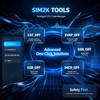 Solution ECU SIM2K TOOLS pour KIA et Hyundai, gestionnaire intelligent de codes DTC, un clic pour P2004, P2006, P2008, P2009 et P2010