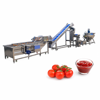 Industriële tomatenpuree, -saus, -jam en -ketchup verwerkings- en productielijn, inclusief machines en fabriek