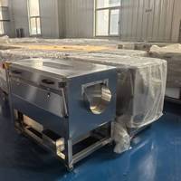 Multifunctionele Rode Biet Schil- en Wasmachine Radijs Wasmachine Aardappelborstel Wasmachine 380V 2.2KW