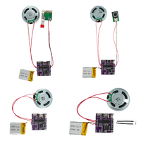 Modulo Audio USB Registrabile da 4M con Sensore di Luce per Musica e Voce, Altoparlante per Biglietti d'Auguri Fai-da-te e Regali