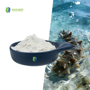 SLBIO Supply - <span class=keywords><strong>Polvo</strong></span> de Péptidos de Pepino de Mar al 90%, Extracto de Pepino de Mar de Grado Alimenticio - Product Image 2