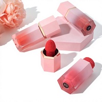 Fard à joues liquide, fard à paupières, contouring, longue tenue, fini mat, blush gelée, maquillage transfrontalier, personnalisation sans logo disponible, basique