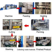 Blisterverpakkingsmachine voor fruit, eieren en plastic thermoforming, multi-station automatische vacuümdruk, landbouwverpakkingen