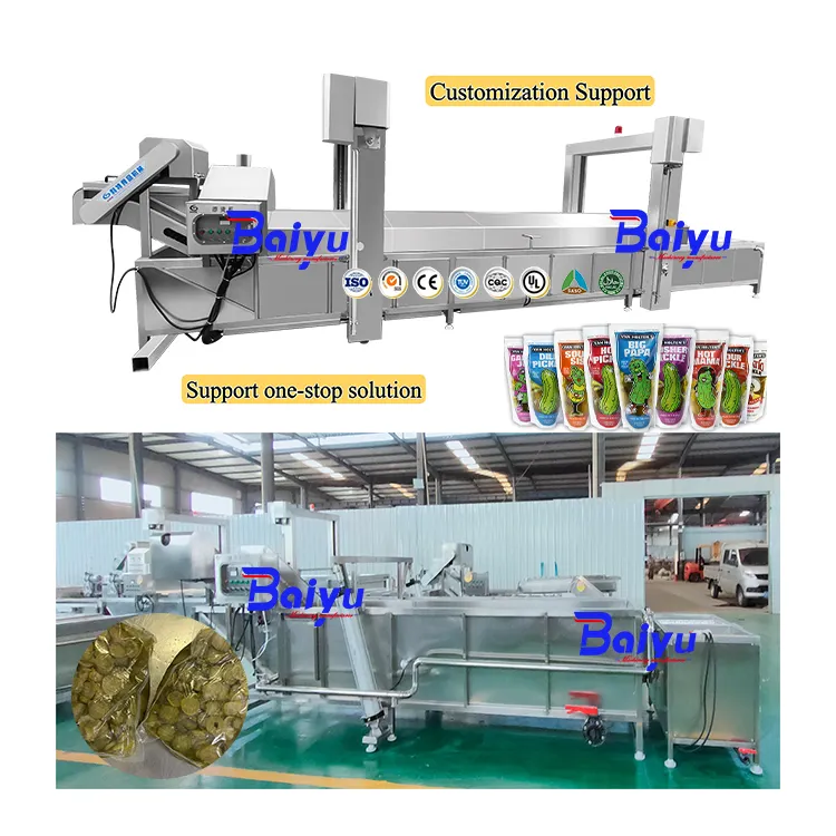 Pasturisation de bain-marie Baiyu pour bouteilles cornichons concombres et autres aliments