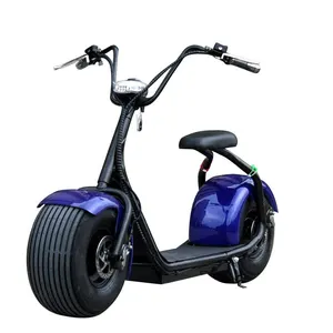 E Citycoco Ở Hà Lan 18*9.5Inch 2000 Wát Thành Phố Coco Electric Scooter/Điện Fat Bike/ Mini Trẻ Em Người Lớn Xe Máy Điện