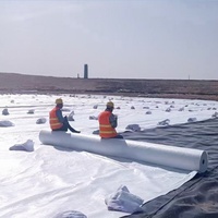 Tissu non tissé aiguilleté en polyester à filament continu, 100 à 600 g/m², pour la gestion de l'eau et les géotextiles routiers