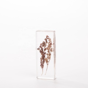樹脂標本手作り樹脂エポキシ工芸品アクリル樹脂工芸品用植物種子埋め込み標本 - Product Image 2