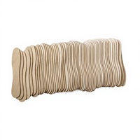 Bâtonnets de crème glacée en bois 100% biodégradables, flexibles, bon marché et portables pour les glaces et les sucettes glacées