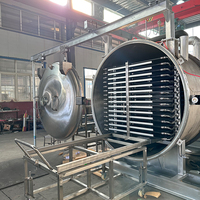 Fabriksprijs vacuümvriesdroogmachine lyofilisator groente-vriesdroogverwerkingsapparatuur