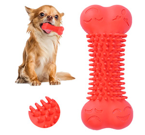 Sebze havuç çiğnemek yıkılmaz Squeaky köpek oyuncak aktif çiğnemek kauçuk interaktif köpek oyuncak - Product Image 6