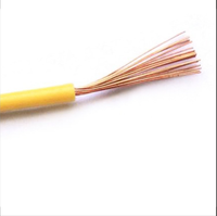 Câble H07V-U 450/750V Monoconducteur en Cuivre Nu Isolation PVC Fil Électrique Certifié EN 50525-2-31 VDE CE pour la Construction