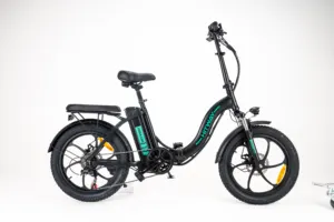HITWAY EU Warehouse 36V 250W Lithium Battery Mountain Electric Bike 20inch Fat Tire Electric Bicycle
