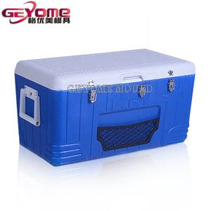 Molde de Injeção Plástica para Caixa de Pesca, Fabricante de Moldes para Produtos Domésticos, Aço com Canal Quente - Product Image 5