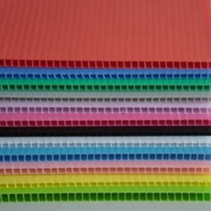 <b>pp</b> - Product Image 4