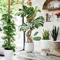 Support pour Plantes Monstera en Mousse, 2 Pièces, 28 Pouces, Pliable
