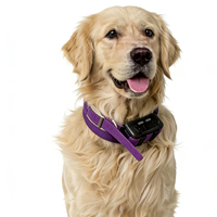 Traceur GPS 4G VHF pour chien de chasse, étanche, longue portée, sans support de service cellulaire, directement de l'usine, compatible OEM et personnalisation