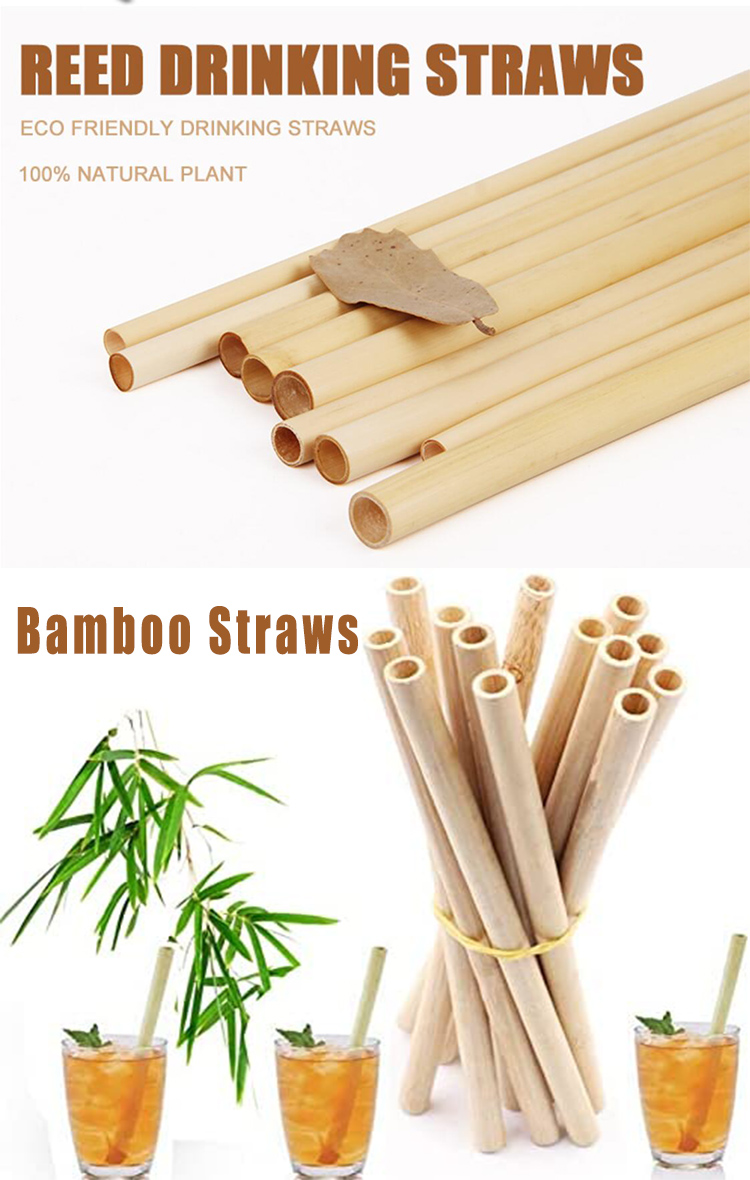 Paille bioplastique de blé biodégradable en bambou