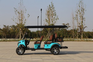 Sharefer - Carrito de Golf Todoterreno de 48 V y 72 V con Batería de Litio, Buggy de 6 Plazas - Product Image 3