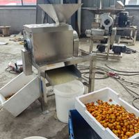 Fruitpulp- en zaadseparatiemachine, fruitpulper voor appel, mango, tomaat, druif, dadel, fruitpulper, ontpitter, vergruizer