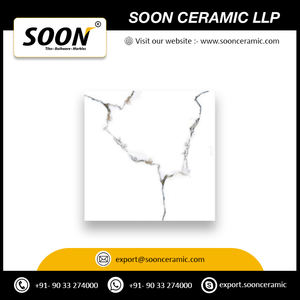 Carreau de céramique de qualité d'exportation indienne 60x60 cm pour application à la maison et à l'hôtel à un prix abordable - Product Image 2