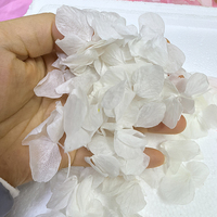 Bunga Asli Awetan Sentuhan Alami Kelopak Murni Putih Pink Krim Mawar Anna Hydrangea Daun Besar Biodegradable untuk Konfeti Pernikahan