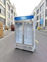 Refrigerador de Bebidas, Enfriador de Jugos, Refrigerador de Cerveza para Bar, Enfriador de Vino, Refrigerador de Doble Temperatura con Enfriamiento Mecánico por Aire