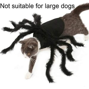 Costume d'araignée pour petits chiens et chats, déguisement de fête d'Halloween, fausse fourrure noire, vêtements pour animaux de compagnie de taille moyenne - Product Image 2