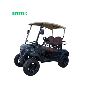 Voiturette de golf électrique tout-terrain 2 places personnalisée de haute qualité, nouveau design élégant, directement de l'usine au meilleur prix - Product Image 2