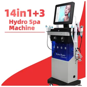 Hot Selling 14 In 1 Skin Analyzer System Hydro Dermabrasion Machine Oxygen Jet Beauty Facial Machine With Better Price