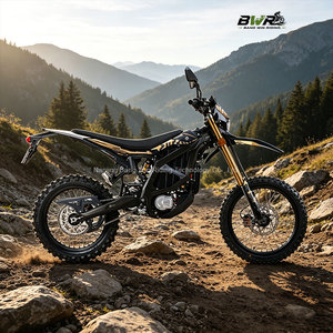 Motocicleta Eléctrica Todoterreno de Alta Velocidad 95km/h 520N.m Ultra Bee HP X - Product Image 6
