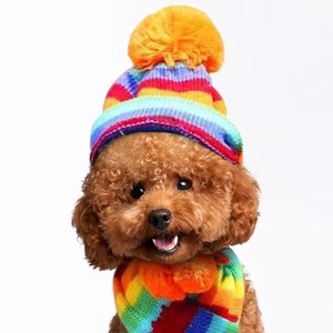 Ensemble trois pièces en acrylique pour animaux de compagnie : costume mignon pour chat et chiot, idéal pour l'automne, l'hiver et toutes les saisons, avec écharpe, couvre-pattes et chapeau - Product Image 5