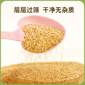 Millet décortiqué pour oiseaux 1,0 kg pour perruches et agapornis Alimentation pour animaux de compagnie - Product Image 3