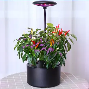 Pots de plantes de jardin, vente en gros, possibilité d'arrosage automatique, vente en gros, usine