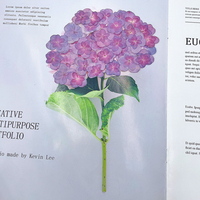 Segnalibro con Fiori Essiccati di Ortensia Doppia in Rilievo, Decorazione per il Viso con Fiori Essiccati, Herbarium