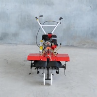 Motoculteur Rotatif Compact 170F 177F à Essence, Mini-Cultivateur Agricole, Mini-Machine à Labourer pour Ferme 7.5hp 9hp