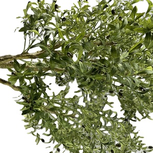 Arbre d'<span class=keywords><strong>olivier</strong></span> artificiel en fibre <span class=keywords><strong>de</strong></span> verre vert, 300 cm <span class=keywords><strong>de</strong></span> haut, large, durable, mini, réaliste, résistant aux UV, vente en gros, faible MOQ - Product Image 6