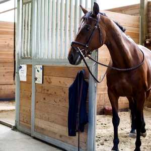 Stalles de chevaux temporaires portables avec toit Stable <span class=keywords><strong>Horse</strong></span> Syall Stable en bois pour chevaux - Product Image 5