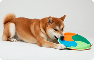 Toptan eko dostu lüks akıllı interaktif <span class=keywords><strong>pet</strong></span> köpek eğitimi uçan disk frisbeed oyuncaklar - Product Image 6