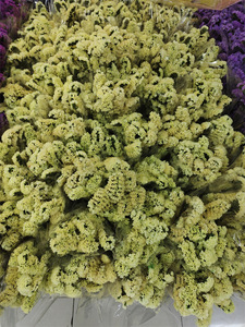 Composizione Floreale di Nontiscordimé e Limonium Essiccati, Bouquet Naturale Essiccato per la Festa della Mamma, Matrimoni e Decorazioni Interne - Product Image 5