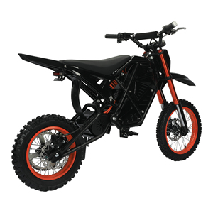 Motocicleta Todoterreno para Adultos, 48V 3000W, Velocidad Máxima 55km/h, Certificación CE, Envío desde Almacén en EE. UU., Tiempo de Entrega 3-7 Días - Product Image 1