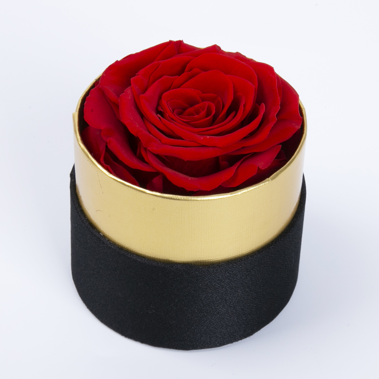 1 Rose In Round Box