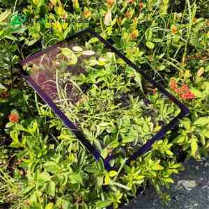 Revêtement solaire antireflet industriel personnalisé AR verre trempé haute transmission de la lumière étanche pour écran LCD - Product Image 6