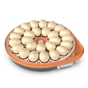 <span class=keywords><strong>HHD</strong></span> Nouvelle <span class=keywords><strong>couveuse</strong></span> automatique 220V/110V/12V <span class=keywords><strong>MINI</strong></span> pour 26 œufs de poulet, de caille, de canard, d'oie, de pigeon - Product Image 6