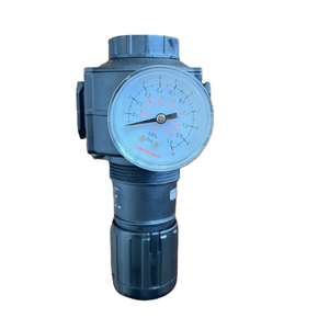 Regulador de Uso General Original Excelon con Manómetro R74G-6AK-RMG R74G-6GK-NMN R74G-6AK-RMG - Product Image 1