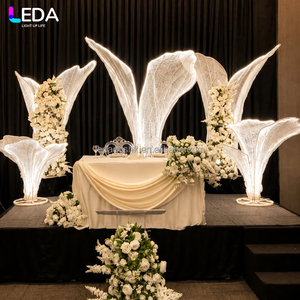 ซุ้มโค้งรูปลูกขนไก่ LEDA สำหรับงานวันเกิด งานแต่งงาน พร้อมไฟ LED ขนาดใหญ่ - Product Image 2
