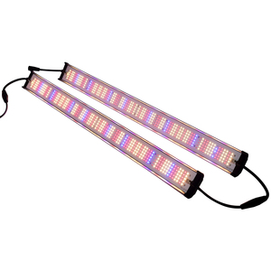 แถบไฟ LED สำหรับปลูกผัก IP65กันน้ำเต็มสเปกตรัม3.0 umol/<span class=keywords><strong>j</strong></span> - Product Image 4