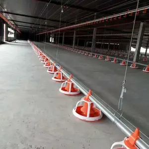 Automatic brolier feeding system floor feeding System for broiler chicken farm house ground poultry Feed Equipment